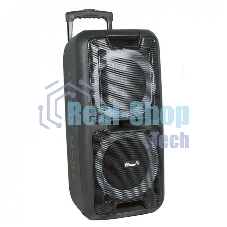 Колонка Eltronic 12