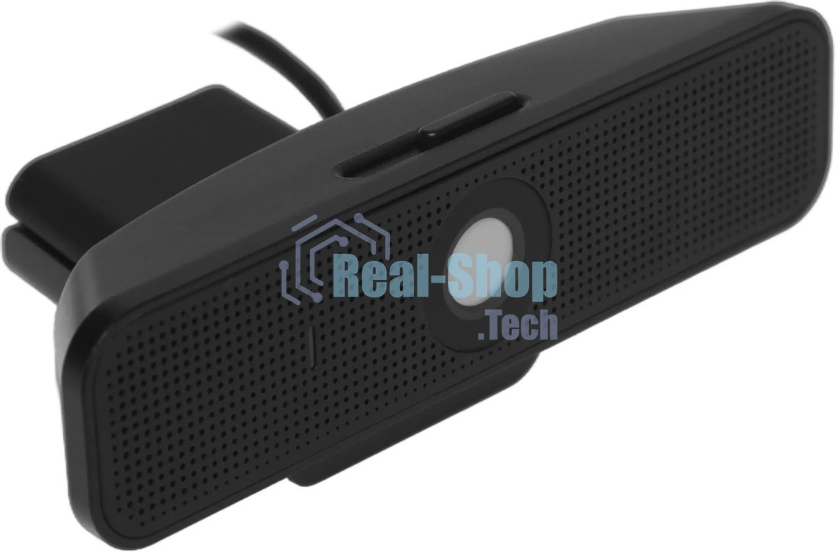 Веб-камера Logitech C925e 1920x1080, 30 кадр/с, USB Type-A, микрофон (2 шт, шумоподавление), автоматическая фокусировка, автоосвещение, шторка приватности, универсальное крепление