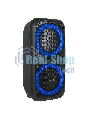 Колонка Eltronic 08