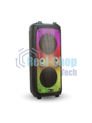 Колонка ELTRONIC 10