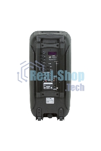 Колонка Eltronic 08