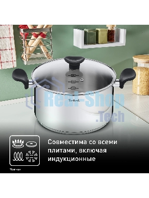Кастрюля Tefal Primary E3084674 5.2 л. d=24 см (с крышкой) стальной (2100120958)