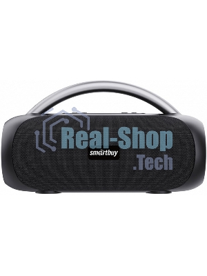 Колонка беспроводная SMARTBUY (SBS-5580) MASTER, черный