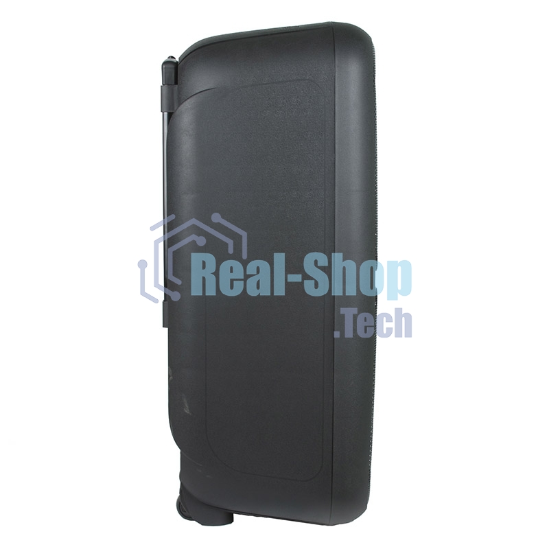 Колонка Eltronic 08