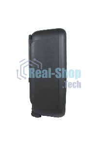 Колонка Eltronic 08