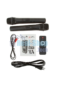 Колонка ELTRONIC 10