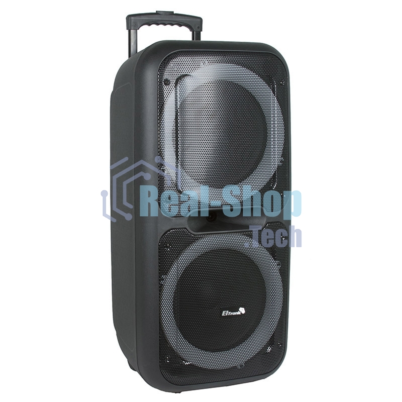 Колонка Eltronic 08