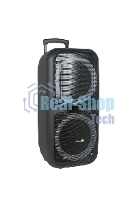 Колонка Eltronic 08