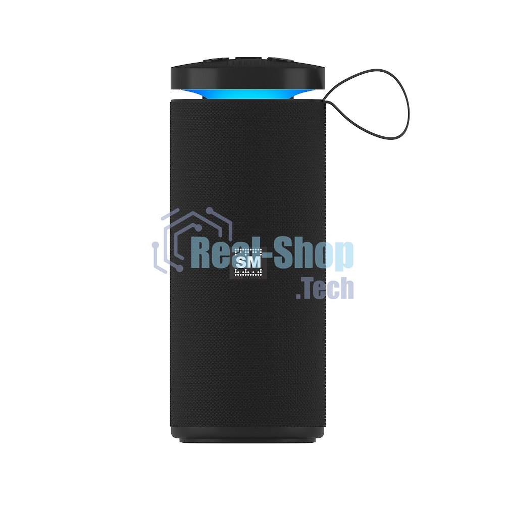 Портативная колонка SOUNDMAX SM-PS5015B черный