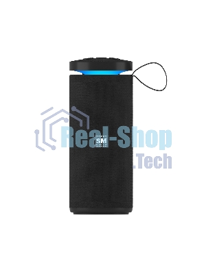 Портативная колонка SOUNDMAX SM-PS5015B черный