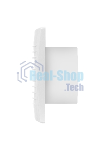 Вентилятор вытяжной Ballu BAF-FW 100 N