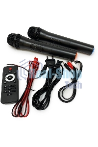 Колонка Eltronic 08