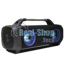 Акустическая система SMARTBUY (SBS-115) VALKYR