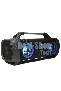 Акустическая система SMARTBUY (SBS-115) VALKYR