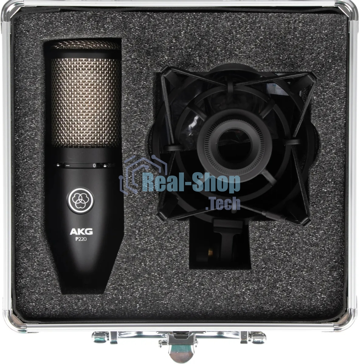 Микрофон AKG P220 3101H00420