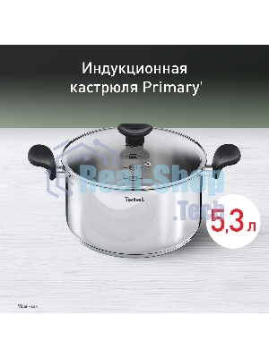 Кастрюля Tefal Primary E3084674 5.2 л. d=24 см (с крышкой) стальной (2100120958)