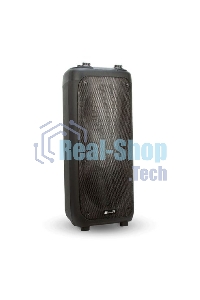 Колонка ELTRONIC 10