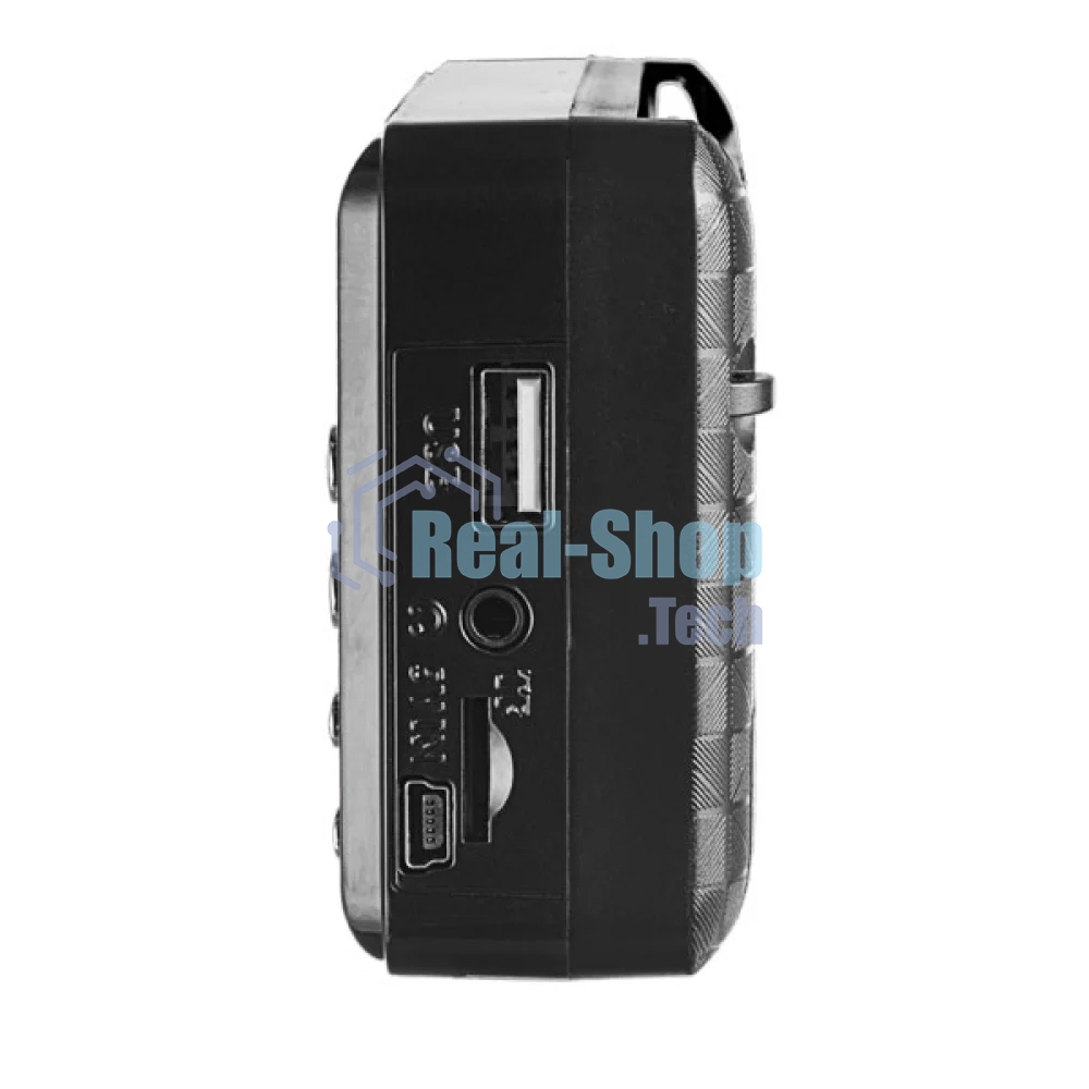 Радиоприемник цифровой Perfeo PALM FM+ 87.5-108МГц/MP3/питание USB или 18650/черный (i90-BL)
