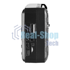 Радиоприемник цифровой Perfeo PALM FM+ 87.5-108МГц/MP3/питание USB или 18650/черный (i90-BL)