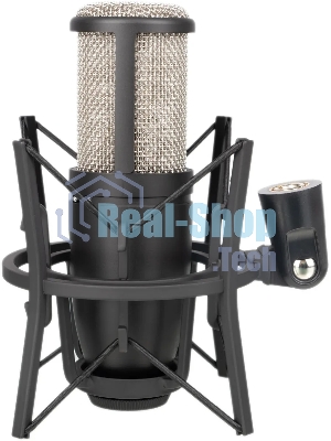 Микрофон AKG P220 3101H00420