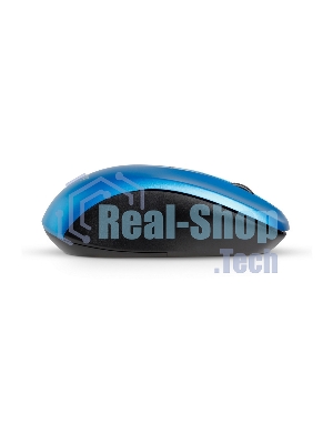 Мышь беспроводная Smartbuy ONE 378 синяя (SBM-378AG-B)