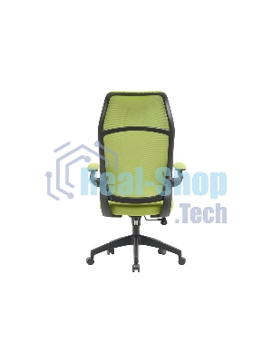 Кресло Cactus CS-MC505-GN салатовый, сетка