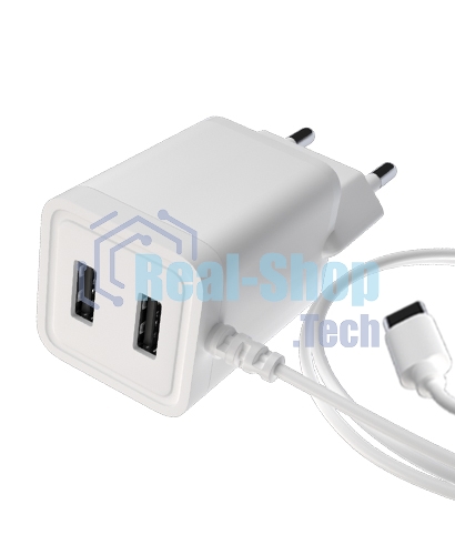 Сетевое зарядное устройство Maxvi A202T 2хUSB 2А 10W + литой кабель Type-C 1.2м, белый