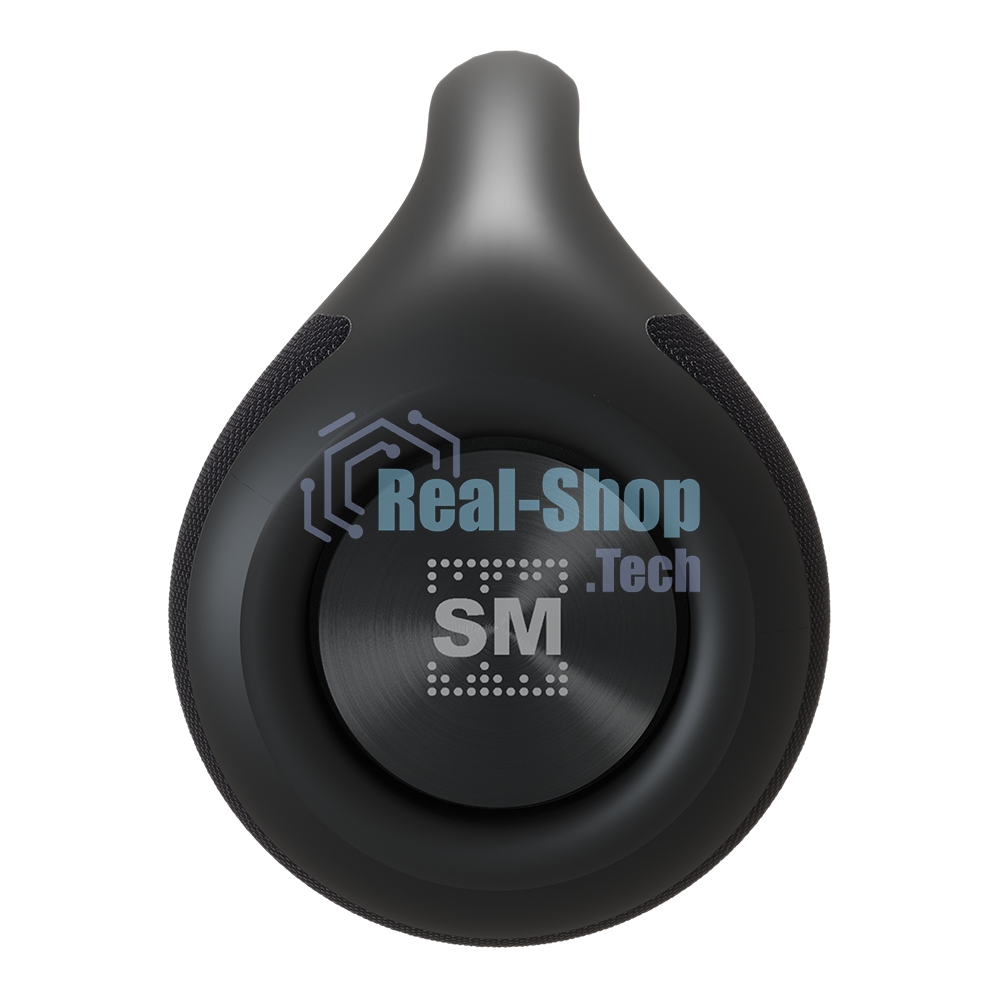 Портативная колонка Soundmax SM-PS5032B черный