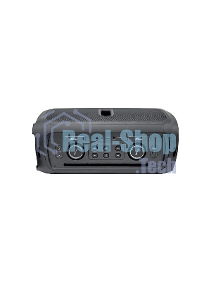 Портативная колонка Ritmix SP-910B черный