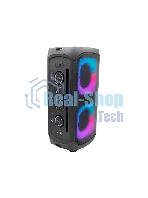 Портативная колонка Ritmix SP-910B черный