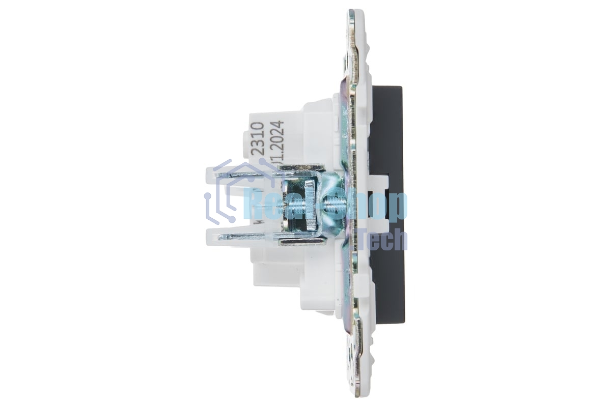 Розетка IEK SKANDY SK-R02G 10А графит без заземл. без защ. шторок SK-R10-10-K53