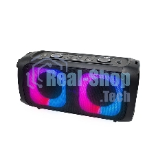 Портативная колонка Ritmix SP-910B черный
