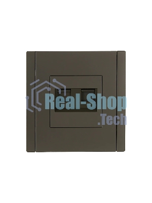 Розетка компьютерная 2-ая RJ45 кат.6 IEK FORTE&PIANO FP334 серый