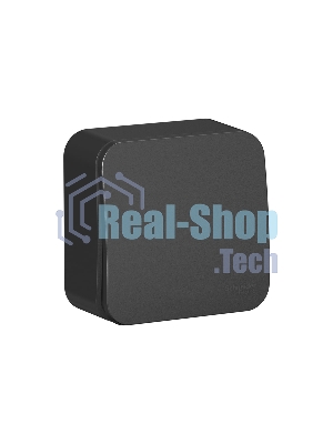 Выключатель 1-кл. ОП Blanca (сх.1) 10А 250 В изол. пласт. антрацит SchE