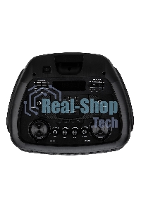 Колонка ELTRONIC (30-70) CRAZY BOX 2500 - 15