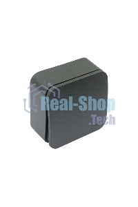 Выключатель 1-кл. ОП Blanca (сх.1) 10А 250 В изол. пласт. антрацит SchE