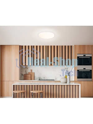 Умный светодиодный светильник FZ2001 WH белый IP54 20W 3000K-6500K+RGB Wi-Fi Алиса/Tuya/Smart Home/Alexa D300*55 (ПДУ ИК)