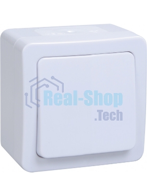 Выключатель IEK EVMP10-K01-10-54-EC ВС20-1-0-ГПБ выкл 1кл о/у IP54 (цвет клавиш: белый) ГЕРМЕС PLUS