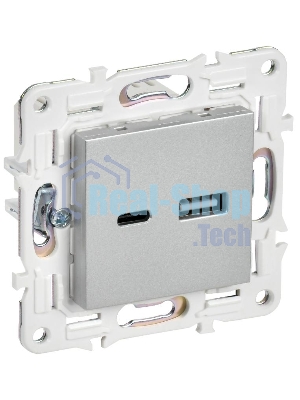 SKANDY Розетка USB A+C 3,1А SK-R14S серебряный  | SK-U22-D31-K23 | IEK