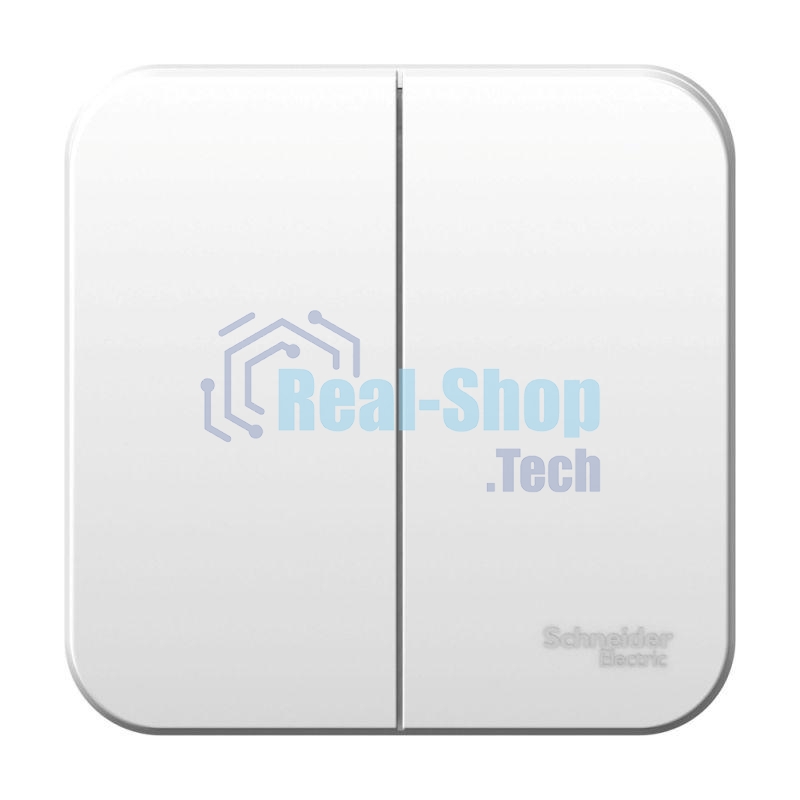 Выключатель 2-кл. ОП Blanca (сх.5) 10А 250 В изол. пласт. белый SchE BLNVA105011