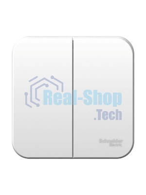 Выключатель 2-кл. ОП Blanca (сх.5) 10А 250 В изол. пласт. белый SchE BLNVA105011