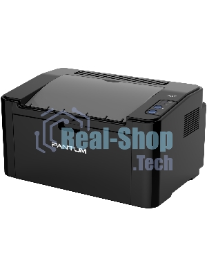Принтер лазерный Pantum P2207, A4, ч/б, печ. до 20 стр/мин, 1200x1200 dpi, USB