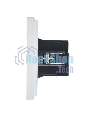 Розетка IEK FORTE&PIANO FP250 USB A+C 3,1А белый