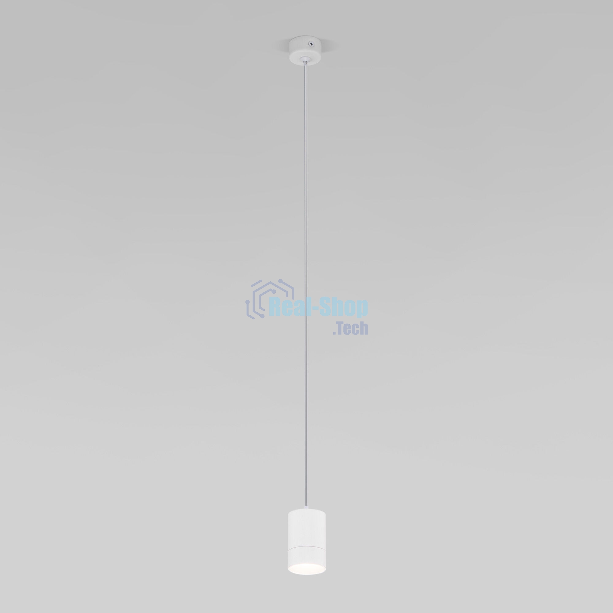 50248/1 LED / подвесной светильник/  белый
