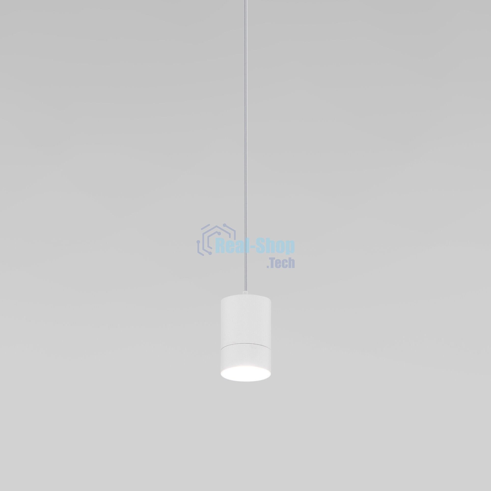 50248/1 LED / подвесной светильник/  белый