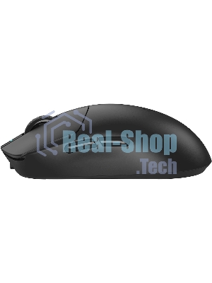 Мышь беспроводная/проводная A4tech Bloody R77UltraDock черный, 20000 dpi, USB Type-A, радиоканал, кнопки - 5
