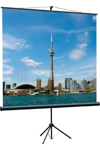 Экран на треноге Lumien 200x200 см Eco View LEV-100103 1:1 напольный рулонный