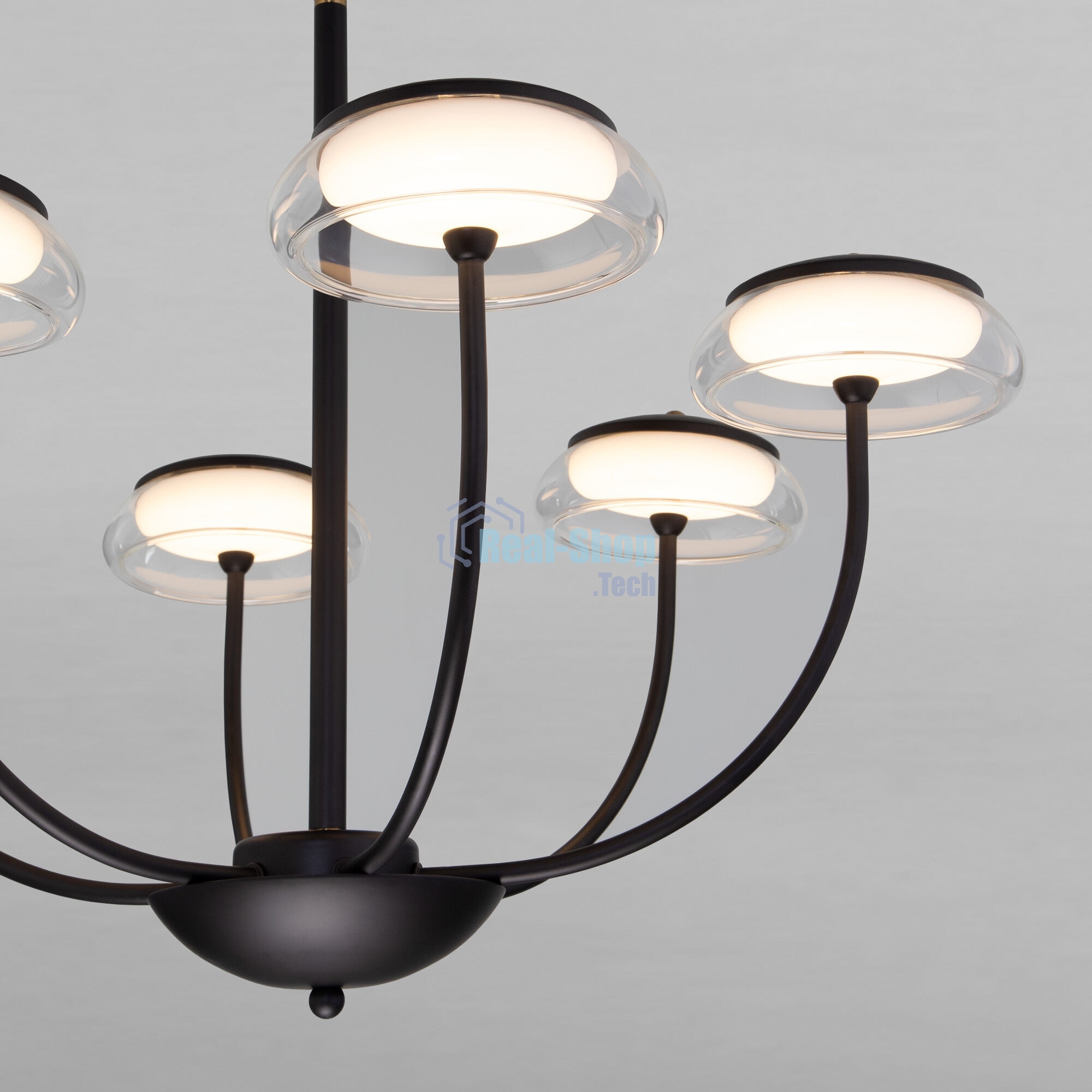 50388 LED / потолочный светильник / черный