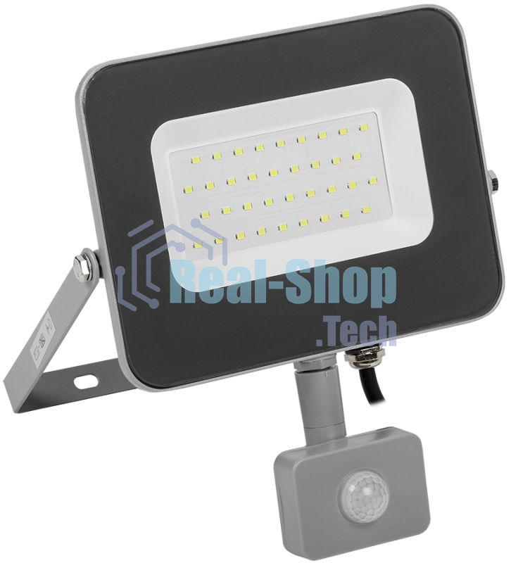 Прожектор Iek LPDO702-30-K03 СДО 07-30Д светодиодный серый с ДД IP44 IEK