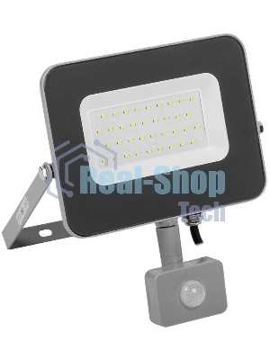 Прожектор Iek LPDO702-30-K03 СДО 07-30Д светодиодный серый с ДД IP44 IEK
